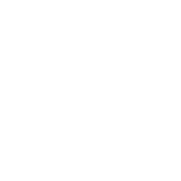 The Traveler